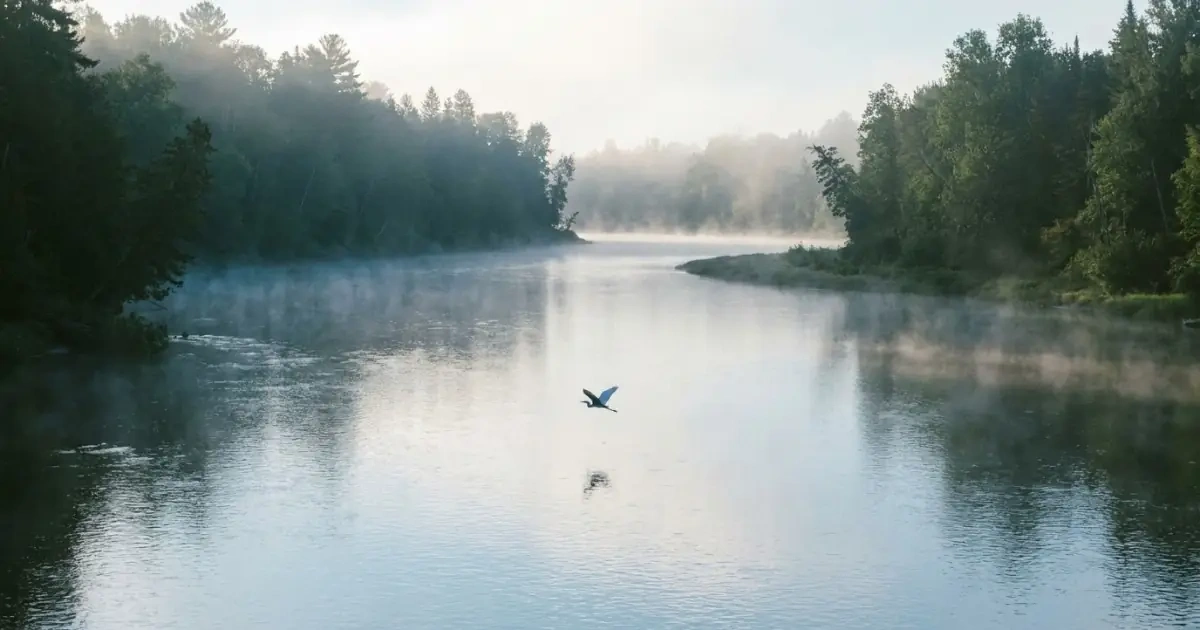 A calm, misty river at dawn reflecting a soft silver and blue sky