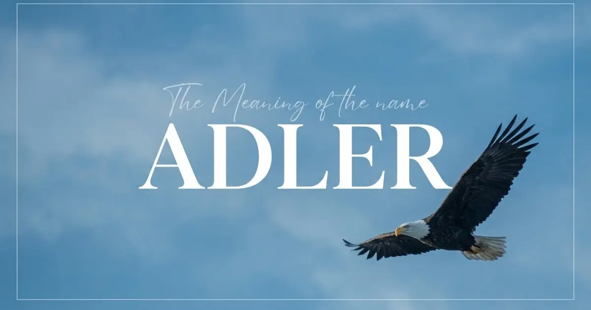 Adler name meaning