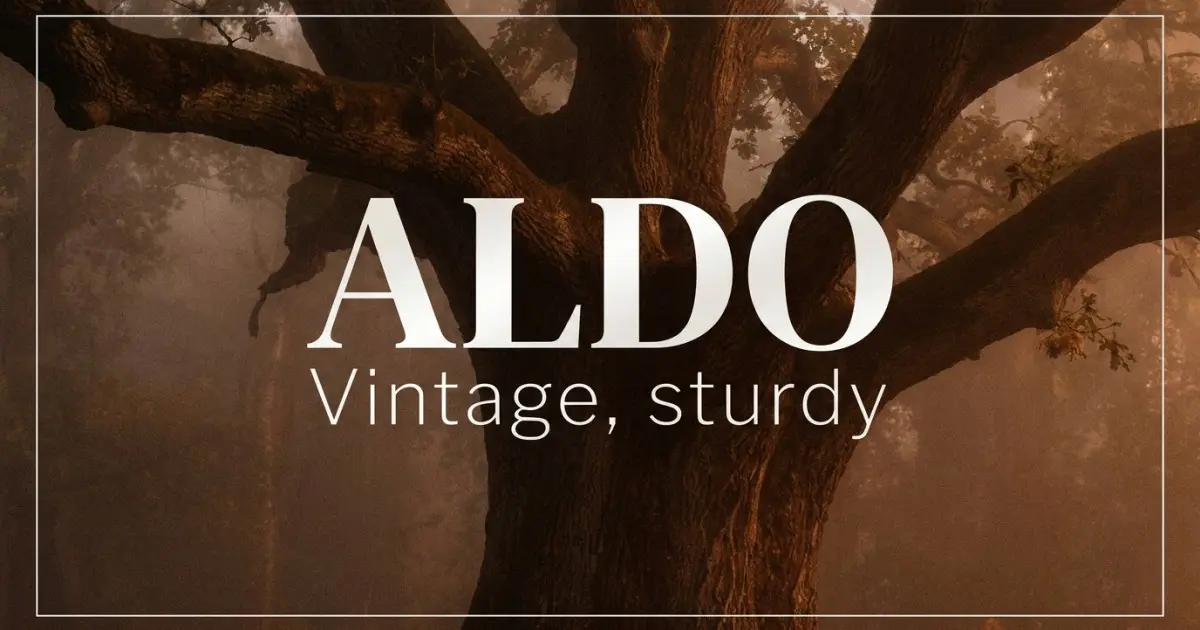 Aldo name vibe: Vintage, sturdy