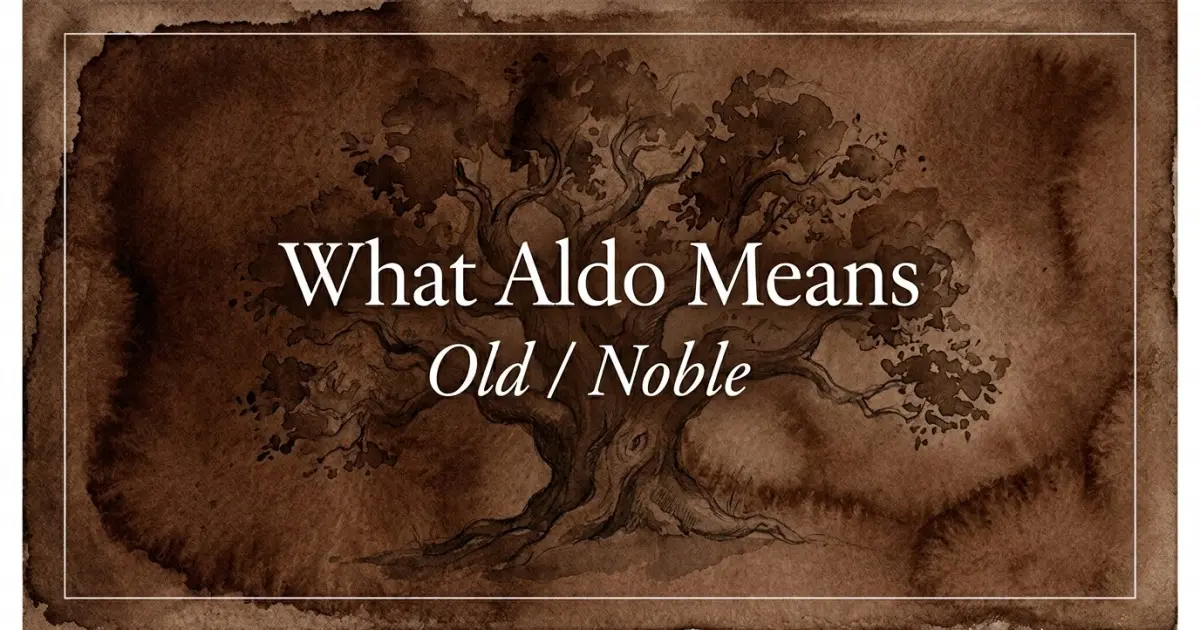 Aldo name meaning Old / Noble