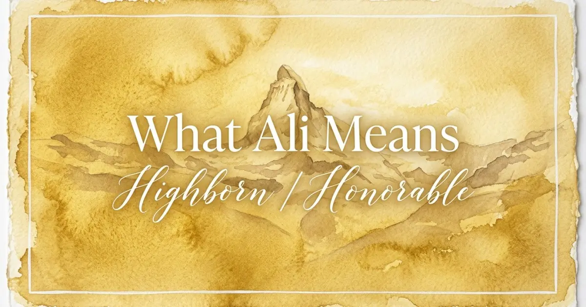 Ali name meaning Highborn / Honorable