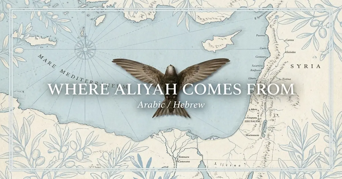 The name Aliyah comes from: Arabic/Hebrew