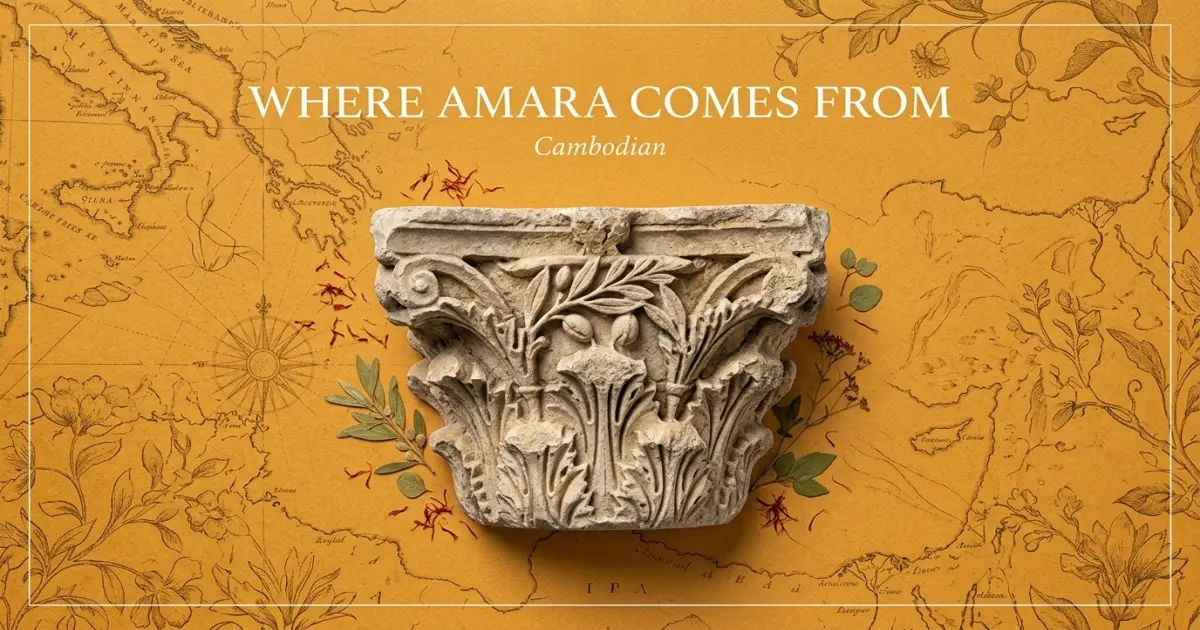 Where Amara Comes From