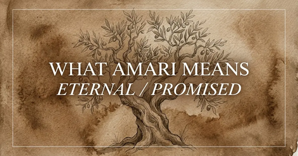 Amari name meaning Eternal / Promised