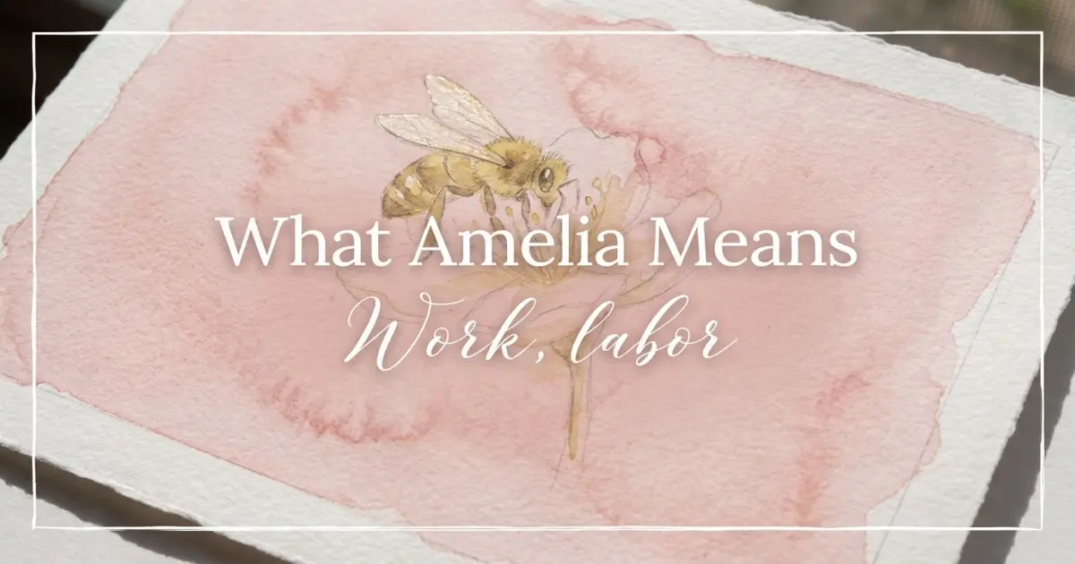 What Amelia Means