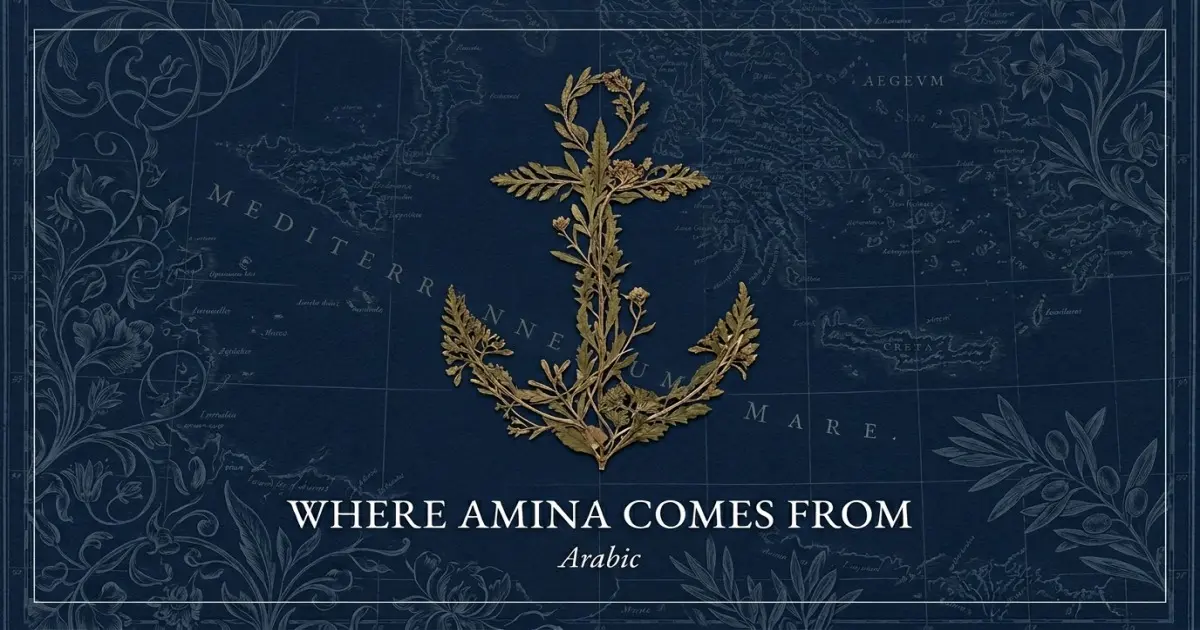 The name Amina comes from: Arabic