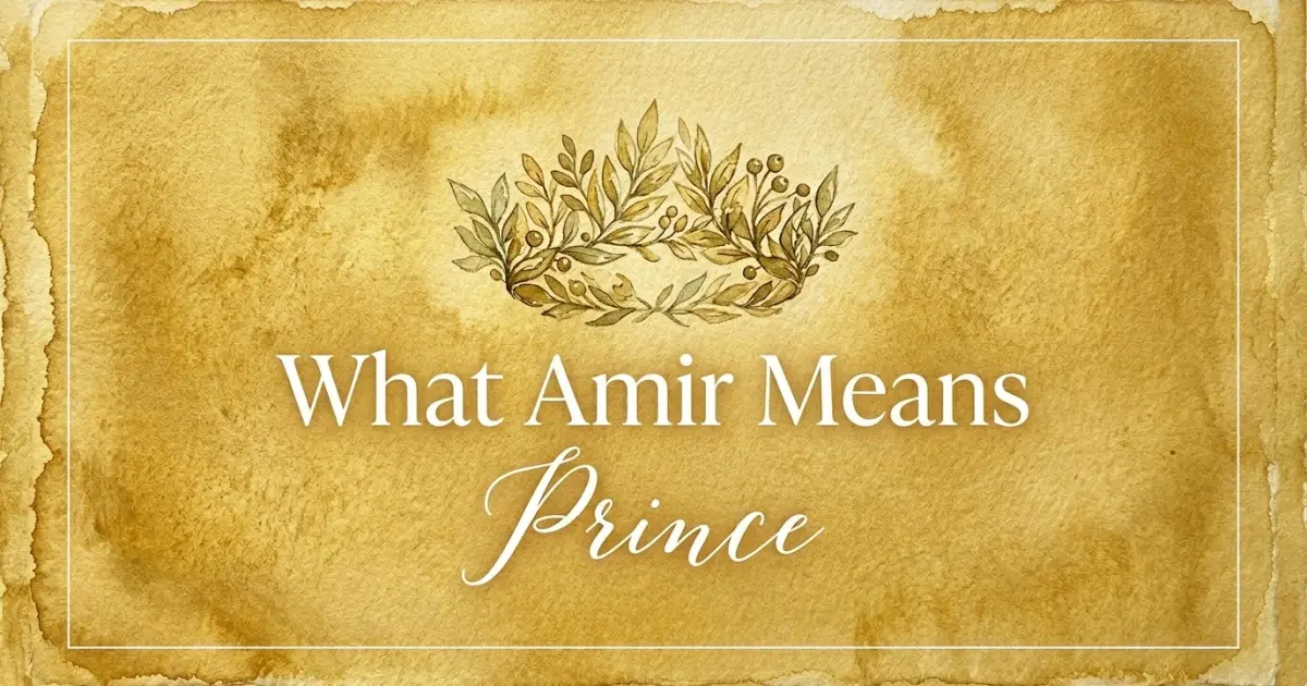 Amir name meaning Prince