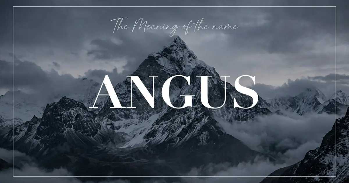 Angus name meaning