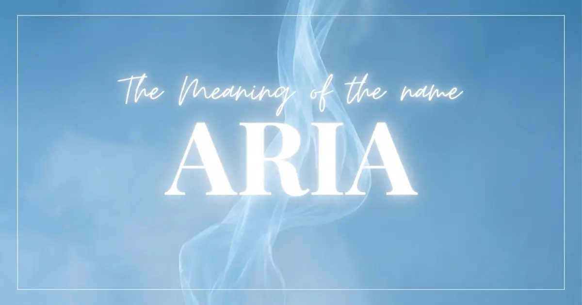 Aria name meaning
