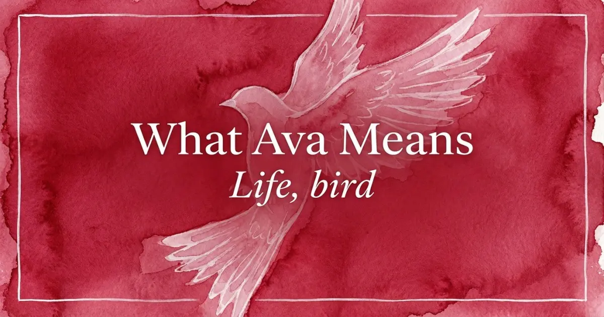 What Ava Means