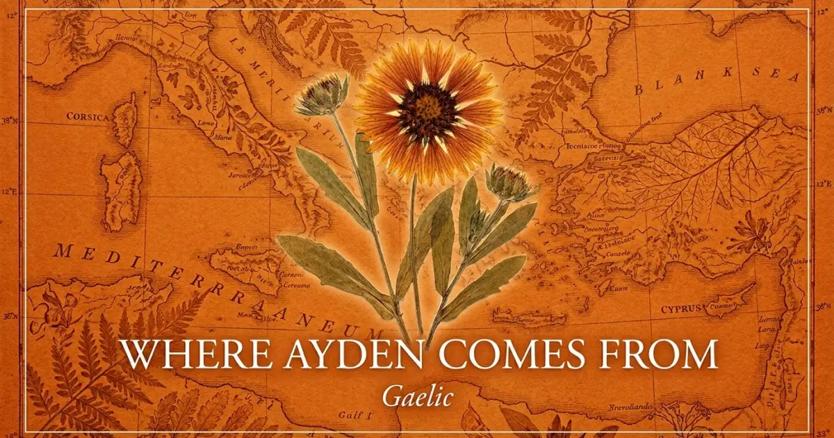 The name Ayden comes from: Gaelic