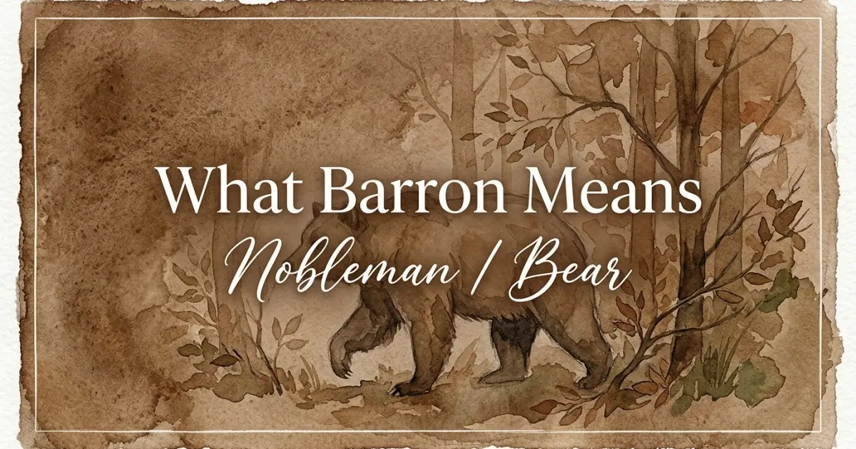 Barron name meaning Nobleman / Bear
