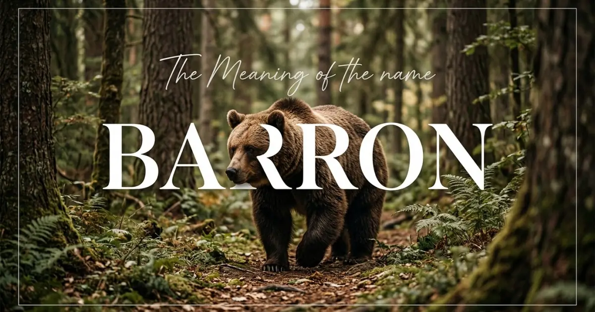 Barron name meaning