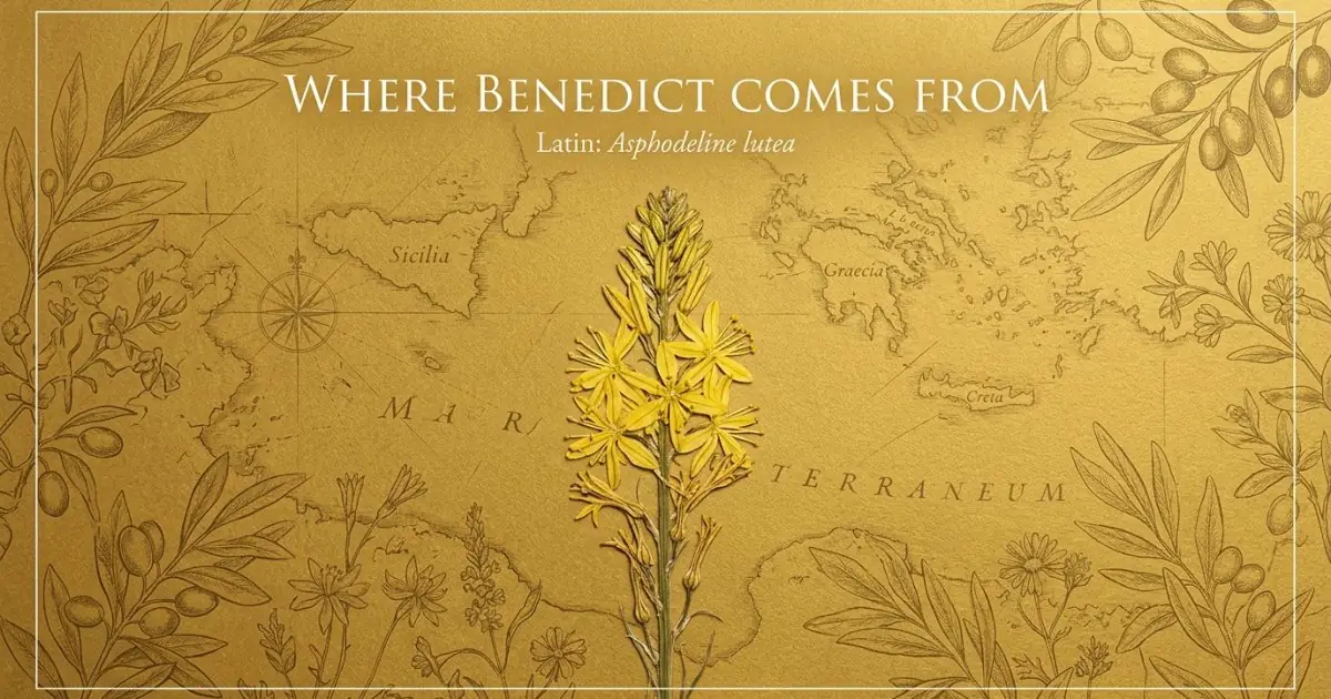 The name Benedict comes from: Latin