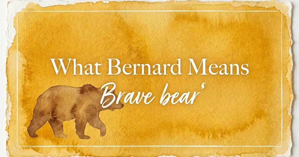 Bernard name meaning Brave bear
