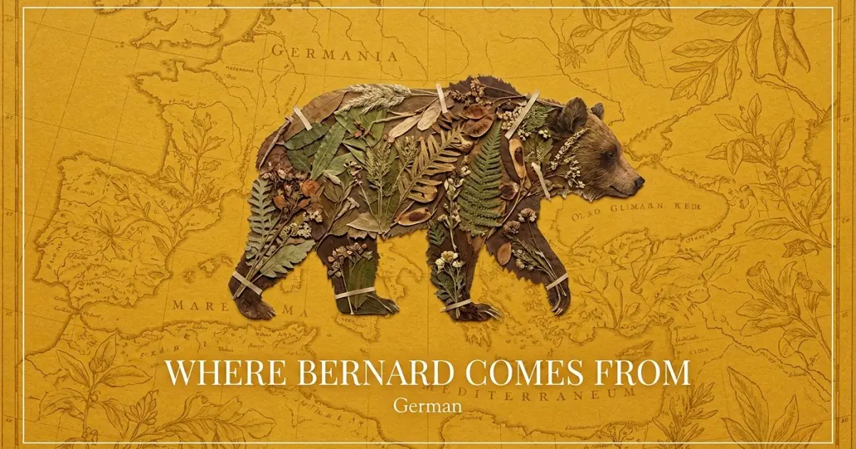 The name Bernard comes from: German