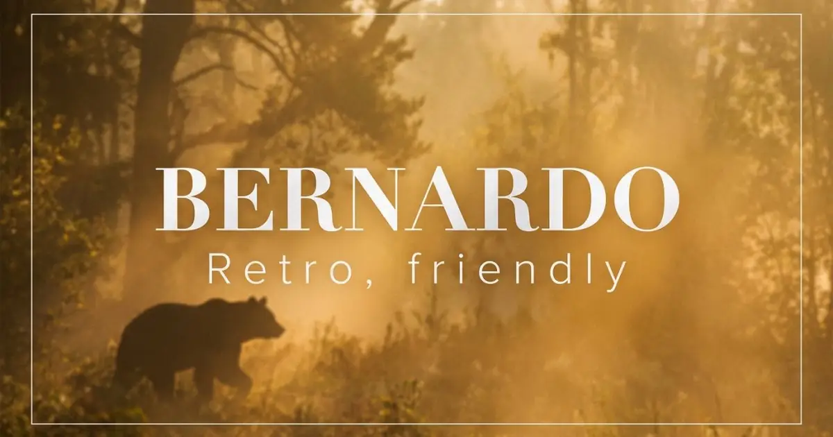Bernardo name vibe: Retro, friendly