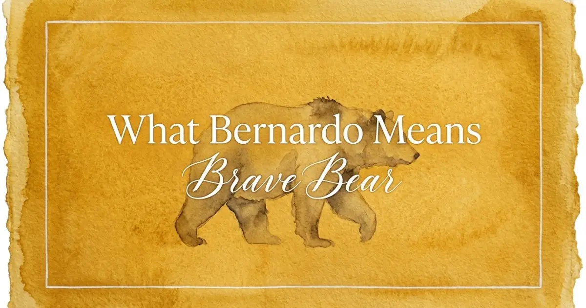 Bernardo name meaning Brave Bear
