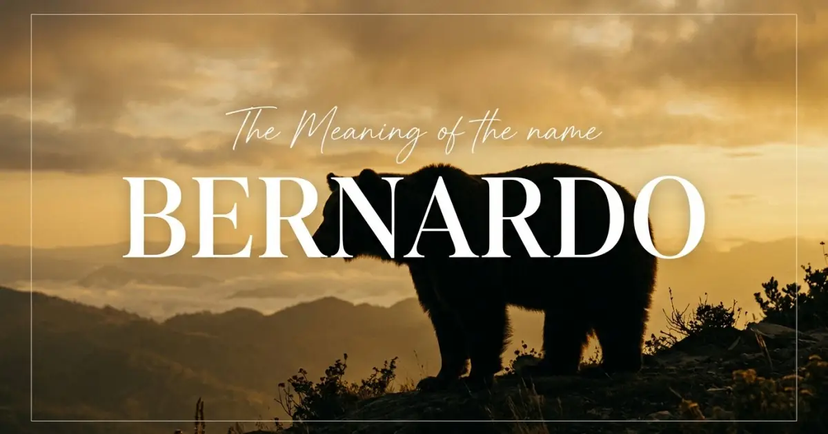 Bernardo name meaning