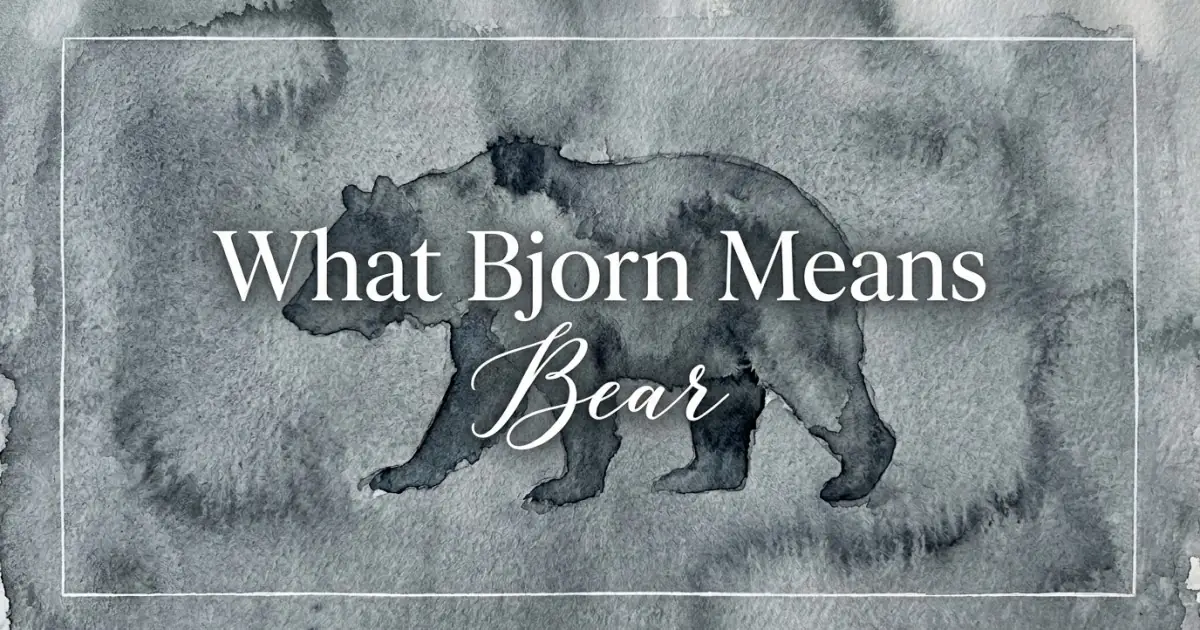 Bjorn name meaning Bear