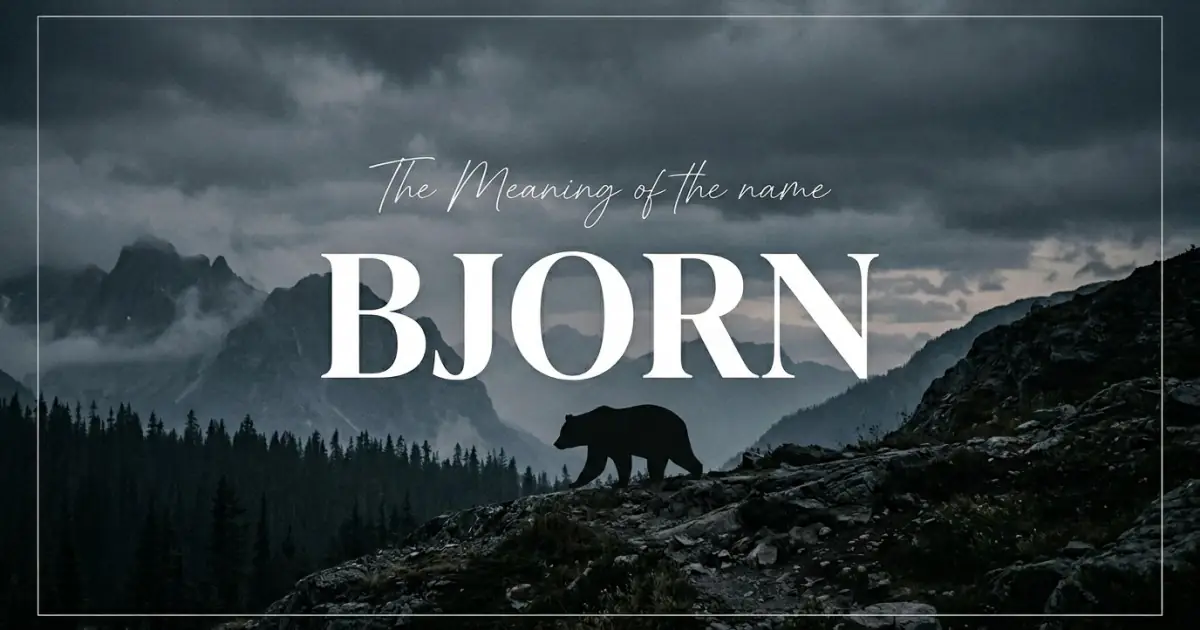 Bjorn name meaning