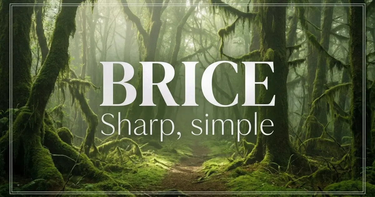 Brice name vibe: Sharp, simple
