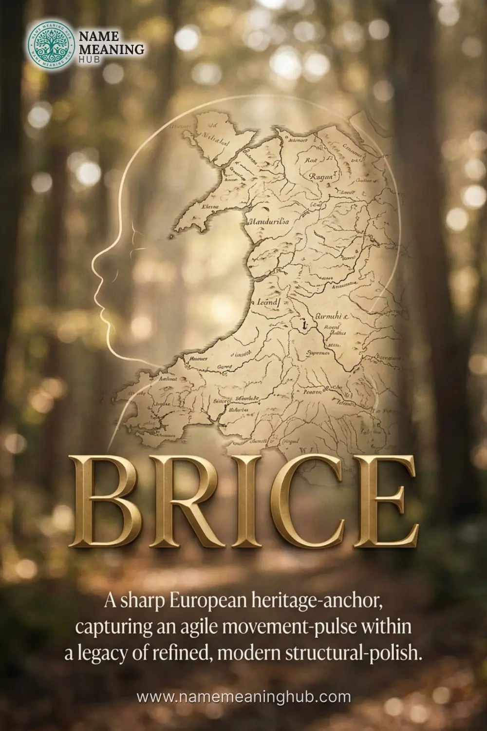 Meaning of the name Brice: A sharp European heritage-anchor, capturing an agile movement-pulse within a legacy of refined, modern structural-polish.
