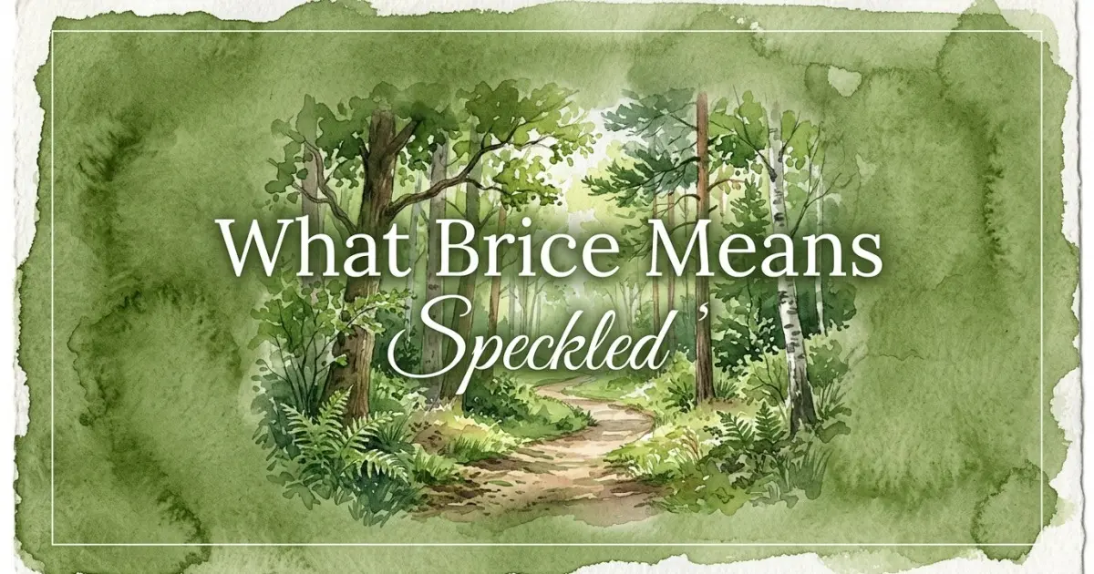 Brice name meaning Speckled
