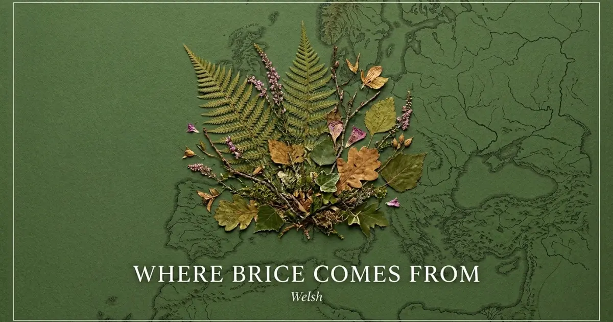 The name Brice comes from: Welsh