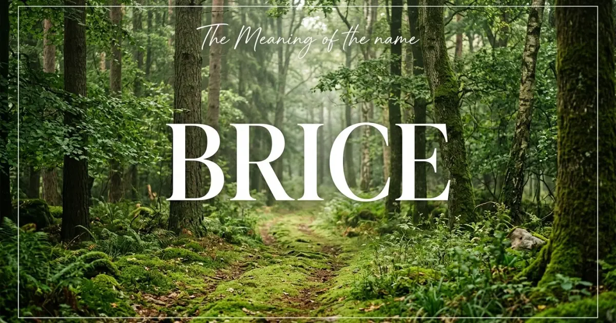 Brice name meaning