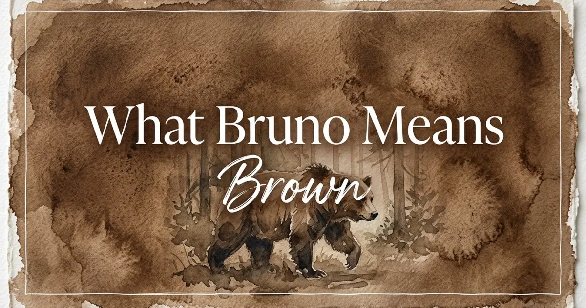 Bruno name meaning Brown