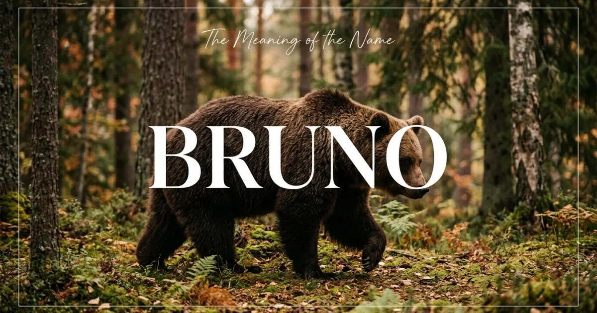 Bruno name meaning