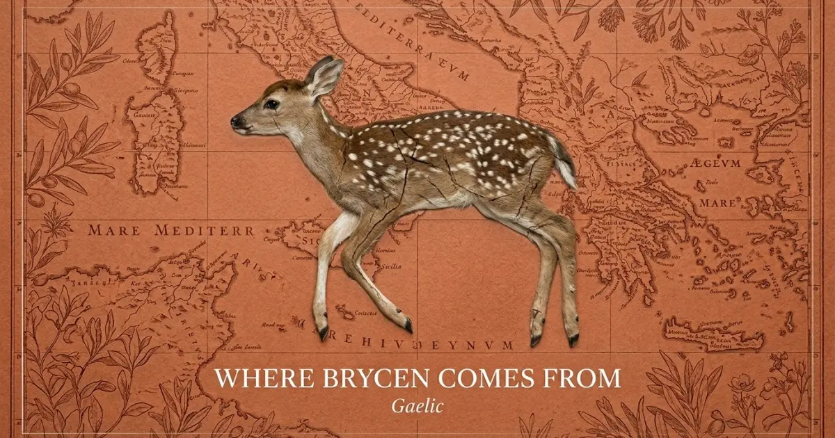 The name Brycen comes from: Gaelic