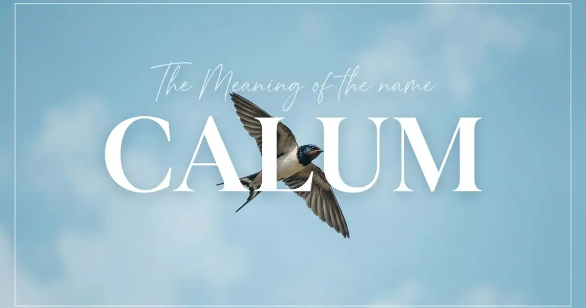 Calum name meaning