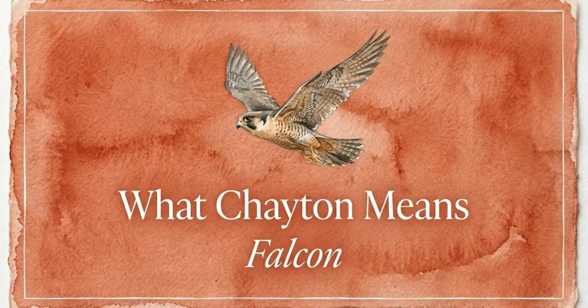 Chayton name meaning Falcon
