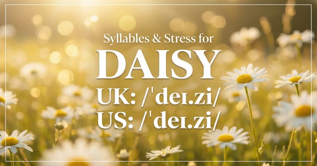 Daisy Syllables Stress Pronunciation