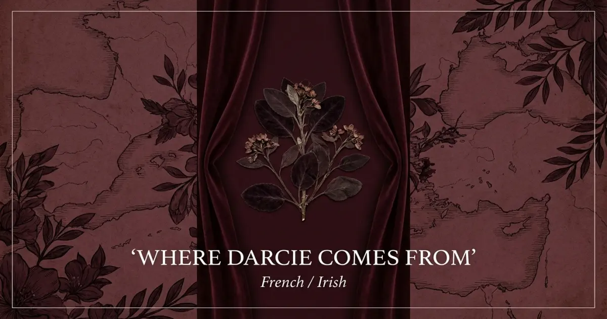 The name Darcie comes from: French / Irish