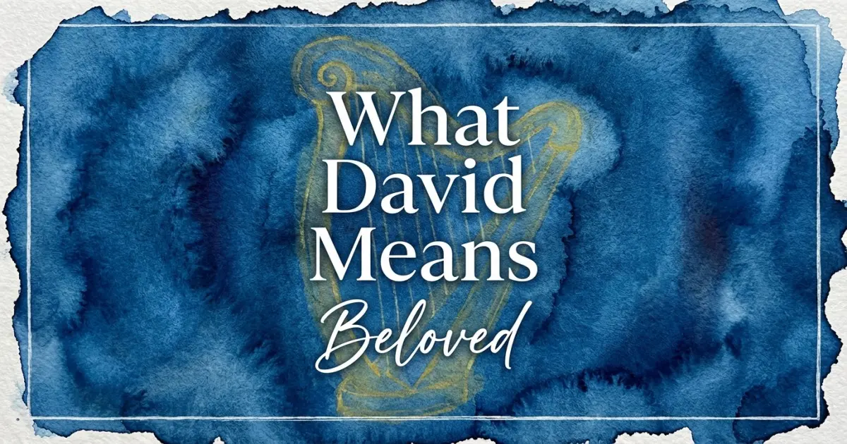 What David Means