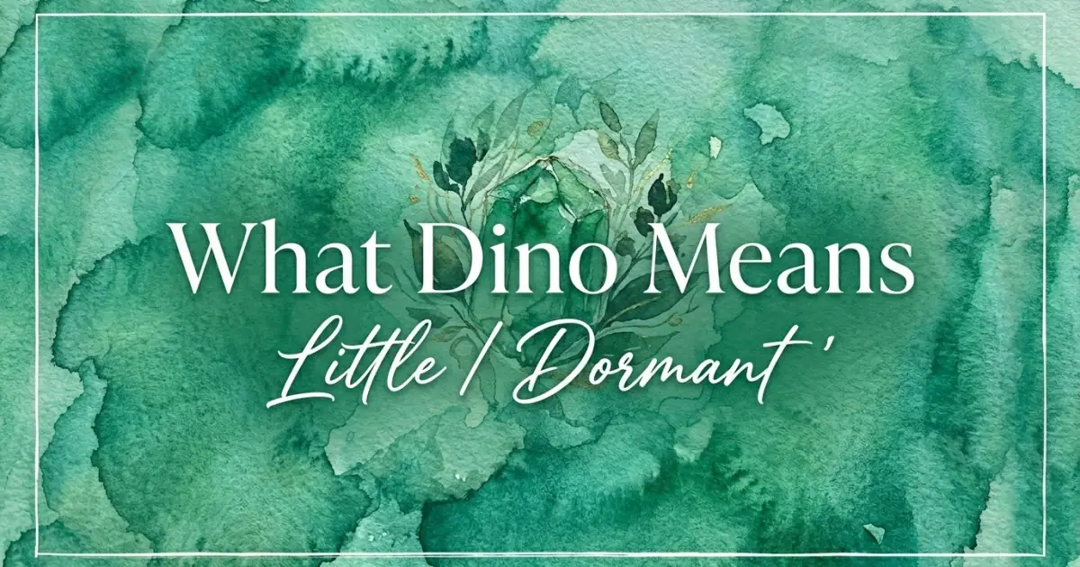 Dino name meaning Little / Dormant