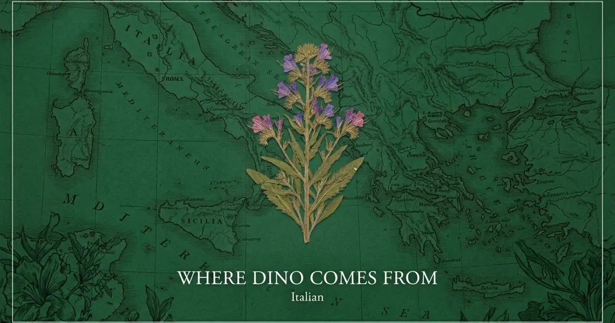 The name Dino comes from: Italian