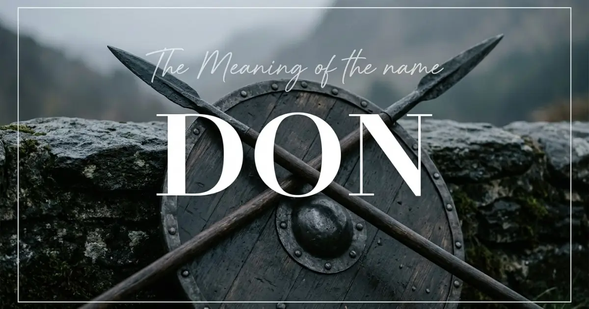 Don name meaning