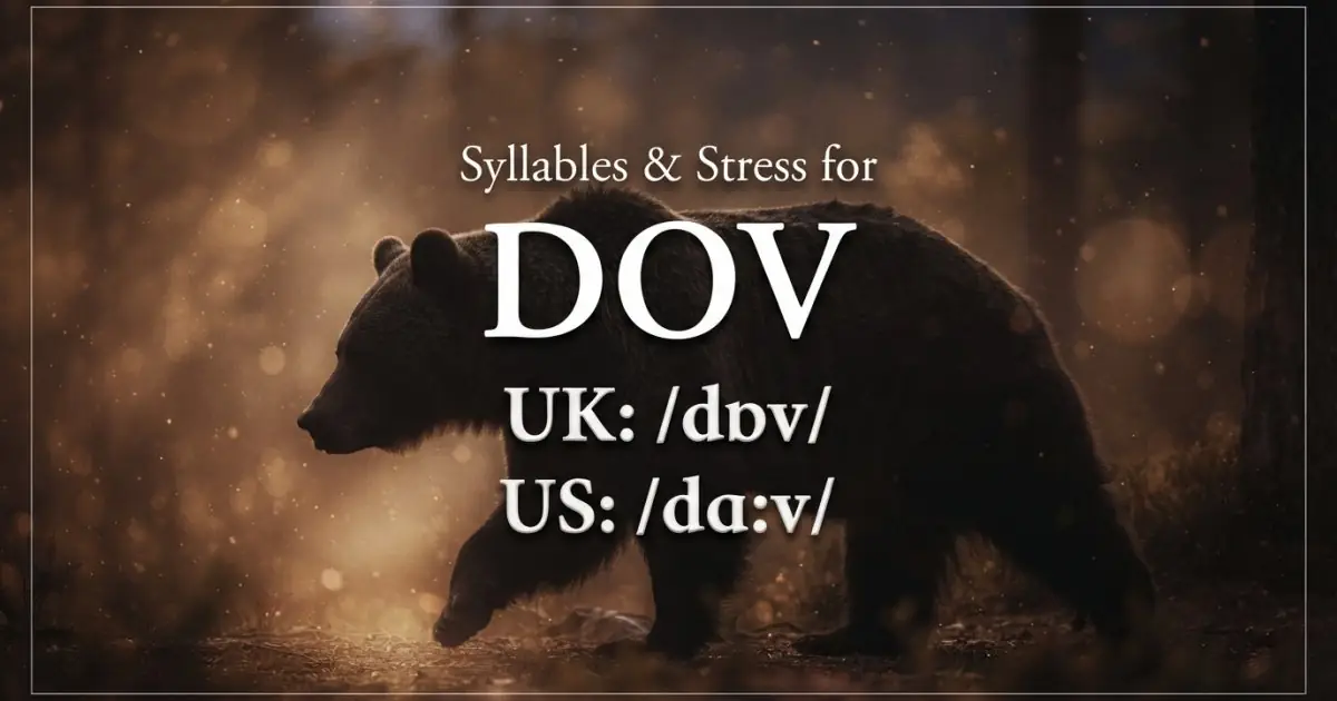 Dov syllables, stress, and UK and US pronunciation