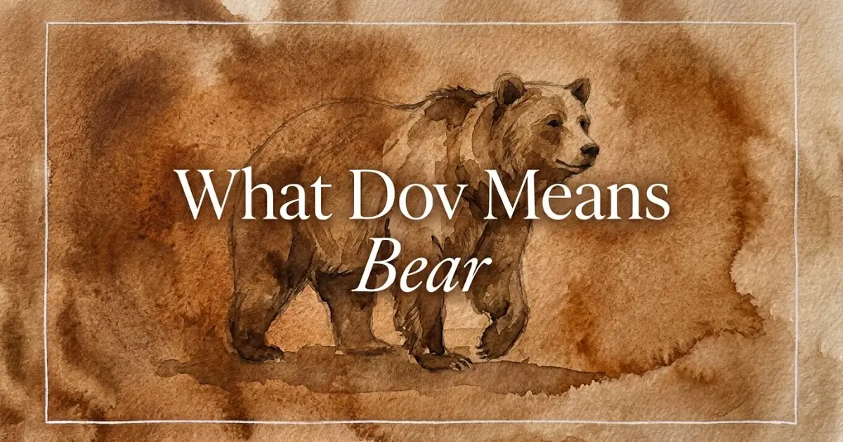 Dov name meaning Bear
