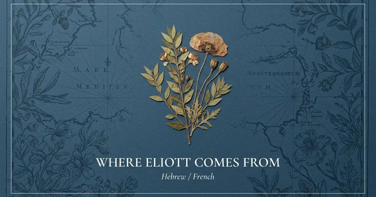 The name Eliott comes from: Hebrew / French
