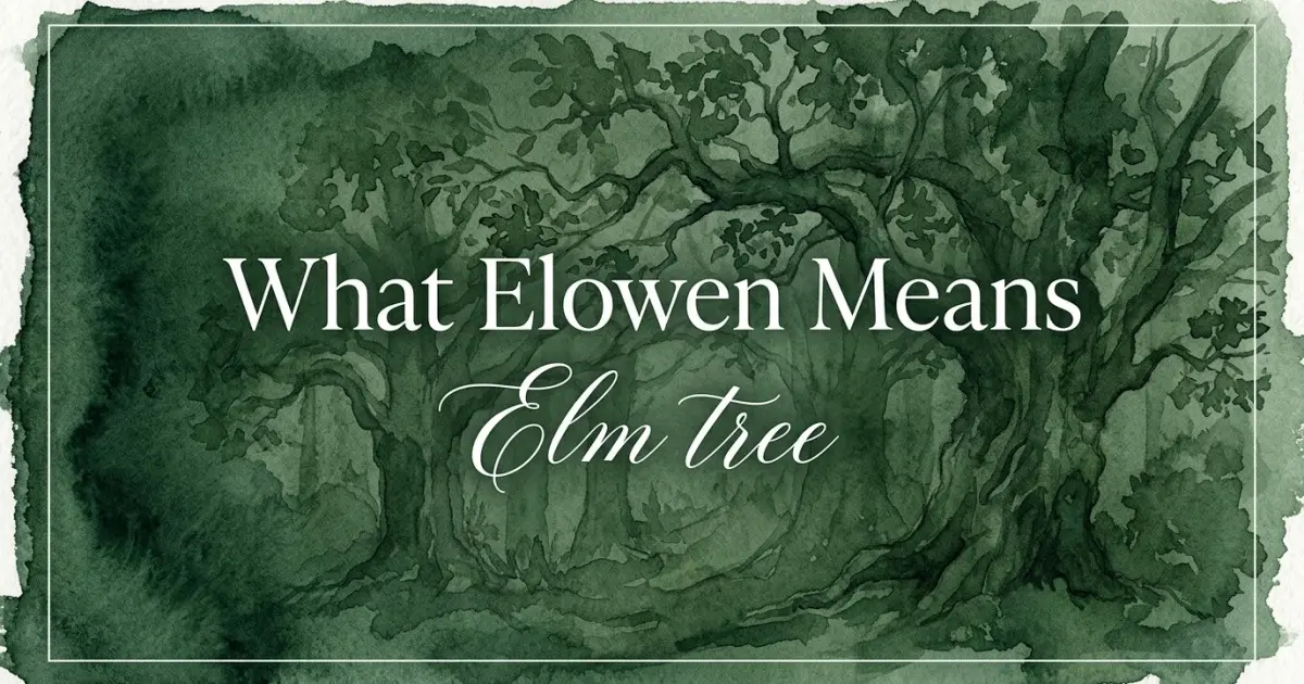 Elowen name meaning Elm tree