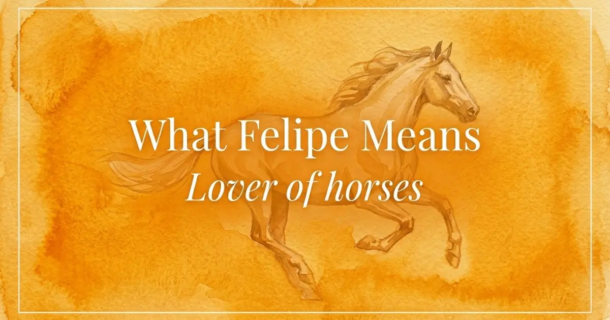 Felipe name meaning Lover of horses