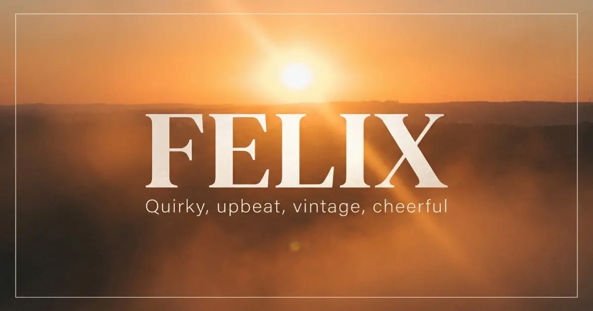 Felix name vibe: Quirky, upbeat, vintage, cheerful