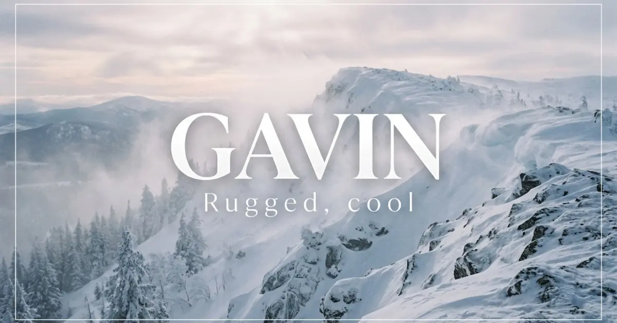Gavin name vibe: Rugged, cool