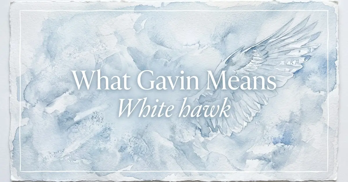 Gavin name meaning White hawk