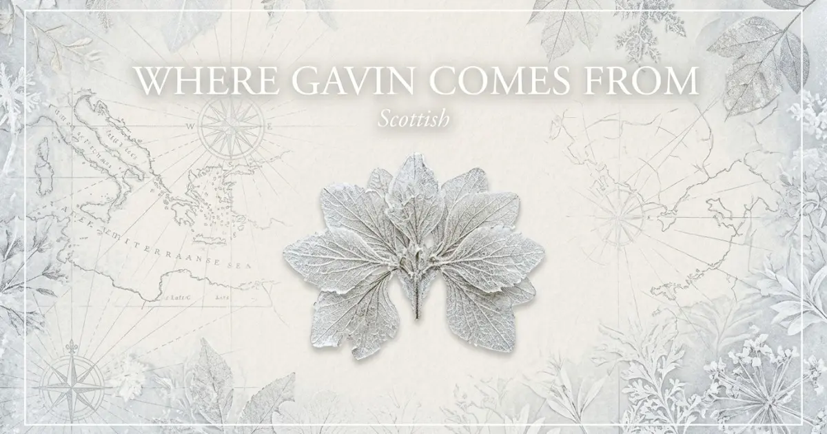 The name Gavin comes from: Scottish